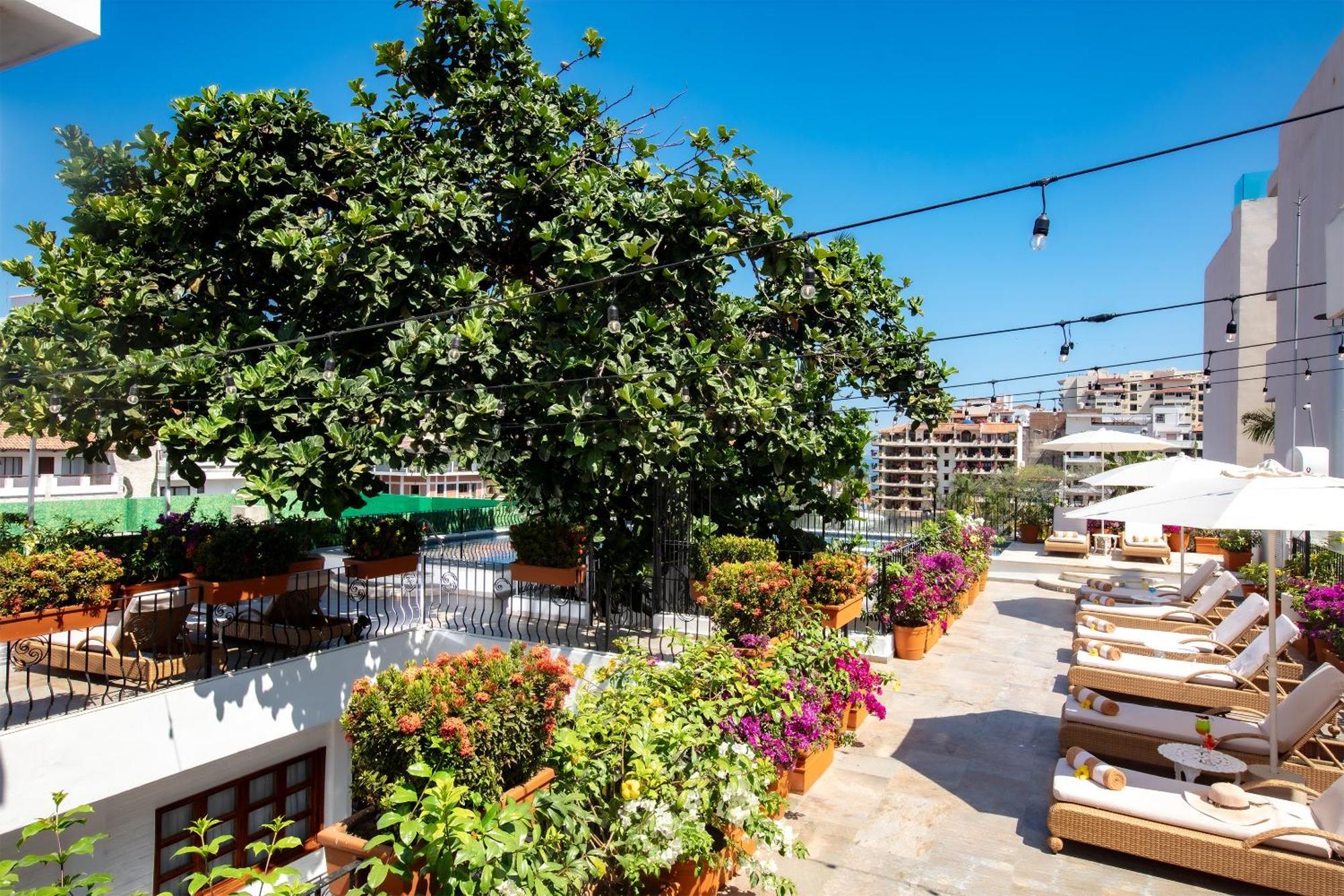 Casa Dona Susana (Adults Only) Puerto Vallarta Exterior photo